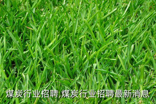 河南煤炭行业招聘,煤炭行业招聘最新消息