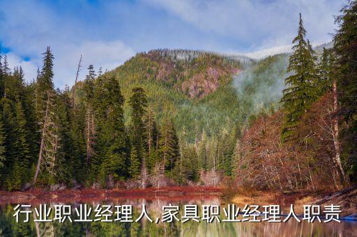 家具行业职业经理人,家具职业经理人职责