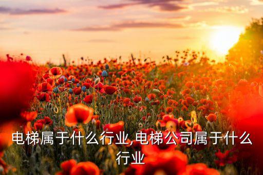 迅达电梯属于什么行业,电梯公司属于什么行业