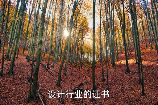 家具设计行业的证书