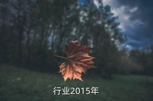 电石行业2015年