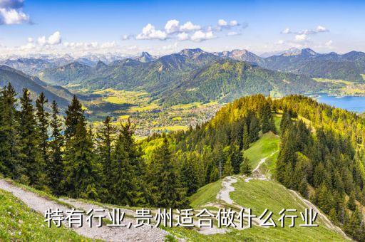 贵州特有行业,贵州适合做什么行业