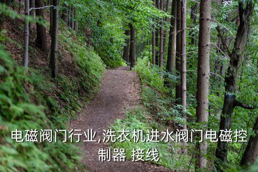 进水电磁阀门行业,洗衣机进水阀门电磁控制器 接线