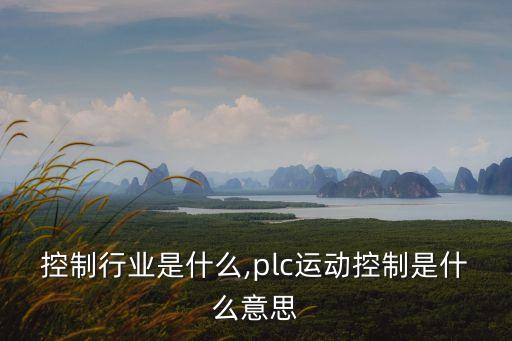 运动控制行业是什么,plc运动控制是什么意思