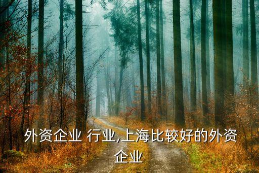 上海 外资企业 行业,上海比较好的外资企业
