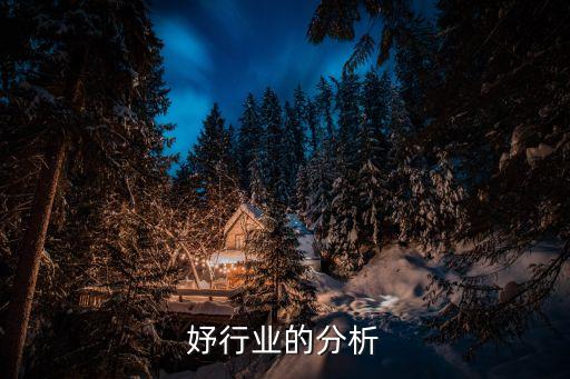 安婕妤行业的分析