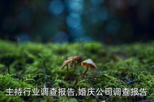 婚庆主持行业调查报告,婚庆公司调查报告