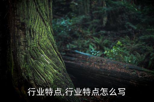 北京行业特点,行业特点怎么写