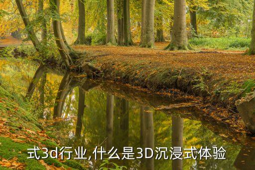 式3d行业,什么是3D沉浸式体验