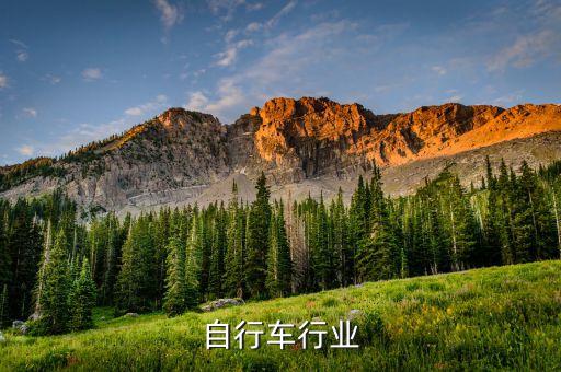 自行车行业