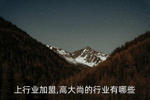 高大上行业加盟,高大尚的行业有哪些