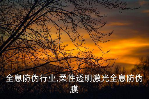 全息防伪行业,柔性透明激光全息防伪膜