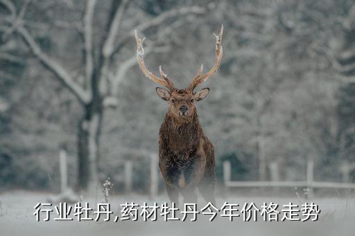 行业牡丹,药材牡丹今年价格走势