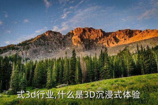 式3d行业,什么是3D沉浸式体验