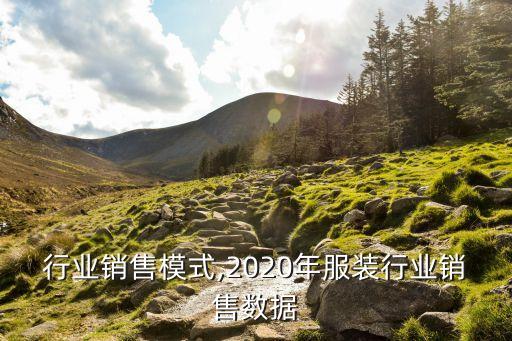 行业销售模式,2020年服装行业销售数据