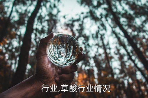   行业,草酸行业情况