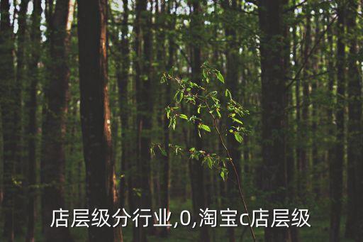 店层级分行业,0,淘宝c店层级