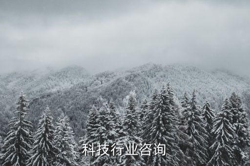 科技行业咨询