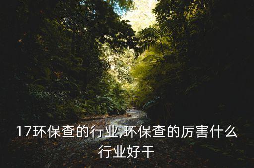 2017环保查的行业,环保查的厉害什么行业好干