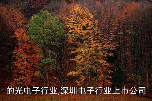 的光电子行业,深圳电子行业上市公司