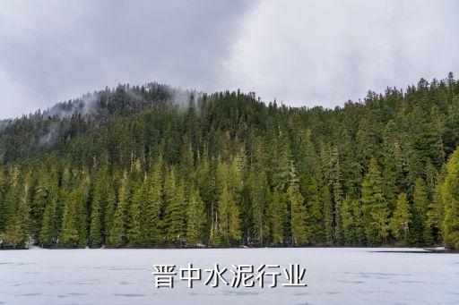 山西晋中水泥行业