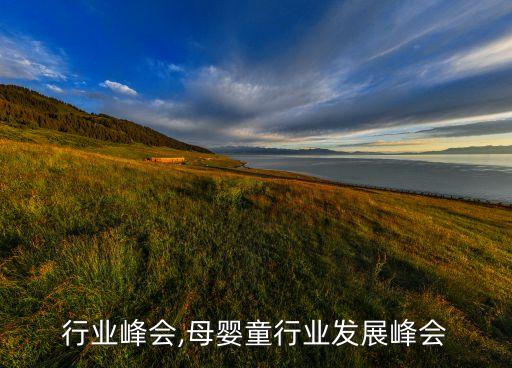 行业峰会,母婴童行业发展峰会