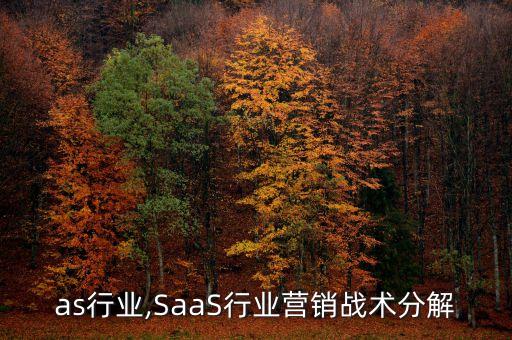as行业,SaaS行业营销战术分解