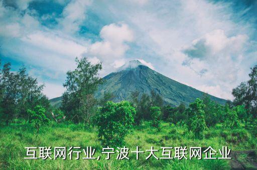 互联网行业,宁波十大互联网企业