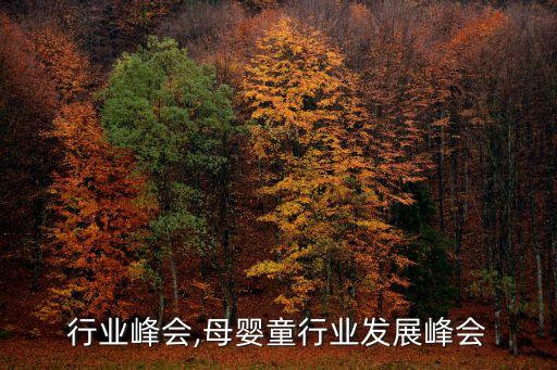 行业峰会,母婴童行业发展峰会
