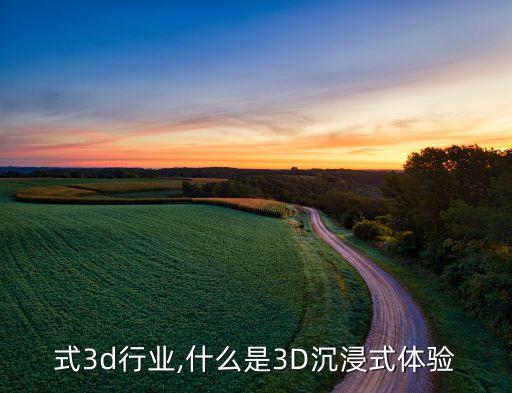 式3d行业,什么是3D沉浸式体验