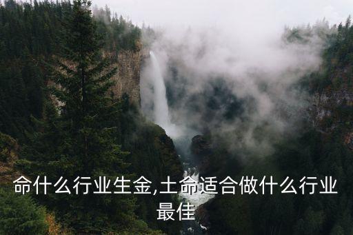 巳土命什么行业生金,土命适合做什么行业最佳