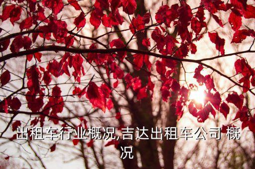 出租车行业概况,吉达出租车公司 概况