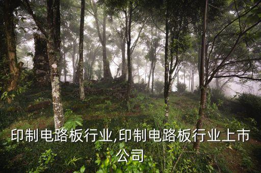 国内印制电路板行业,印制电路板行业上市公司