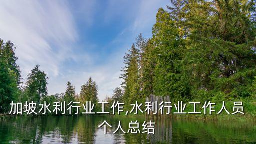 去新加坡水利行业工作,水利行业工作人员个人总结