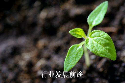 行业发展前途