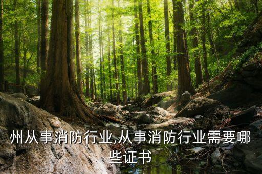 州从事消防行业,从事消防行业需要哪些证书