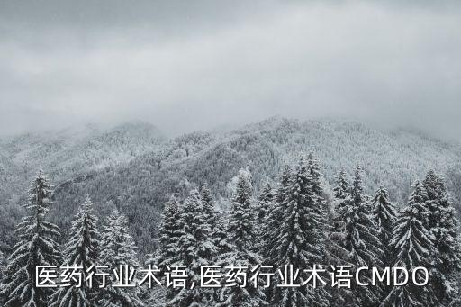 英文医药行业术语,医药行业术语CMDO