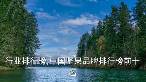 坚果行业排行榜,中国坚果品牌排行榜前十名