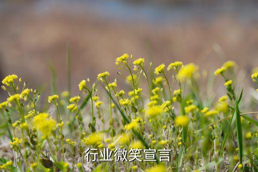 服务行业微笑宣言