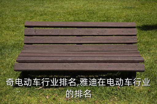 速派奇电动车行业排名,雅迪在电动车行业的排名
