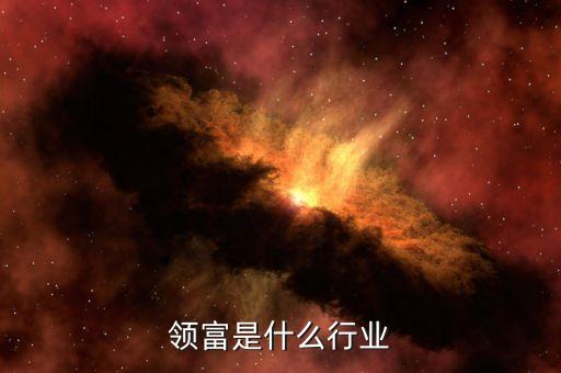 爱力领富是什么行业...