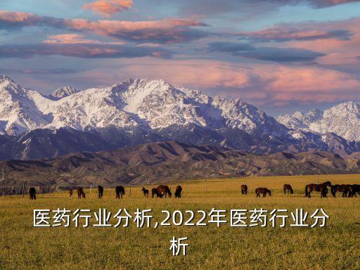 医药行业分析,2022年医药行业分析