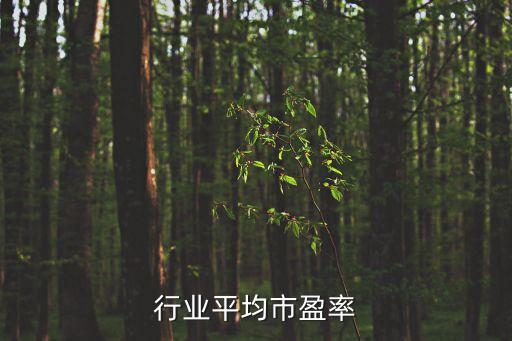 纺织行业平均市盈率