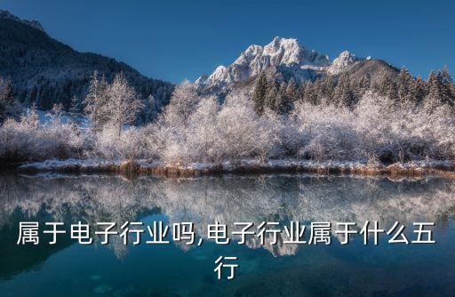属于电子行业吗,电子行业属于什么五行