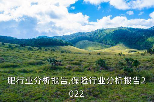 肥行业分析报告,保险行业分析报告2022