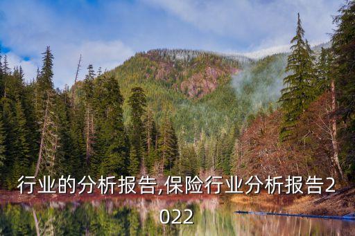 行业的分析报告,保险行业分析报告2022