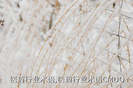 医药行业术语,医药行业术语CMDO