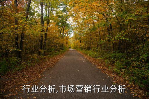 行业分析,市场营销行业分析