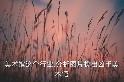 分析美术馆这个行业,分析图片找出凶手美术馆