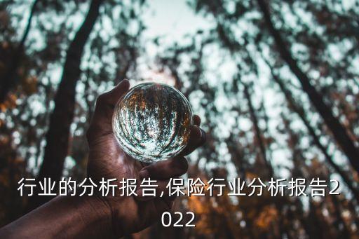 行业的分析报告,保险行业分析报告2022